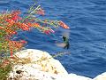Curacao 2008 040